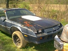 front view of car, no motor or trans when bought, hood had a custom cowl job but the hood was all rotted from under side(orig hood was replaced by second owner w/ ny hood)