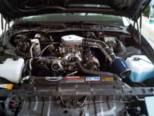 I finally found the perfect air intake setup for this car since the old one sat too high and the hood scratched it up.

See this thread...

http://www.thirdgen.org/techboard/tech-general-engine/530100-perfect-air-intake-low.html