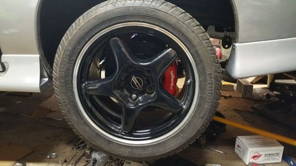 Will look much better when it gets a bath again.
