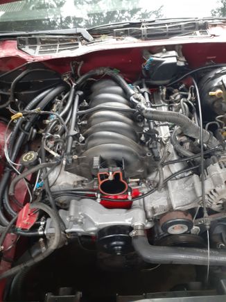 I used a ls6 water pump because the neck on the truck water pump would have hit the throttle body. I reused the stock truck style throttle body.