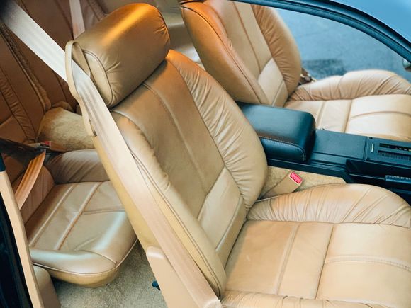 Custom leather interior 