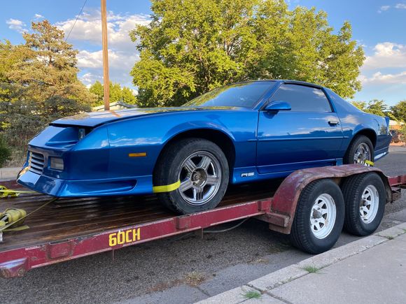 Back from a LONG road trip.