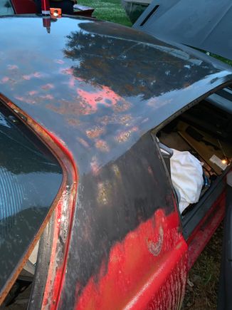 Rust primer and neglect