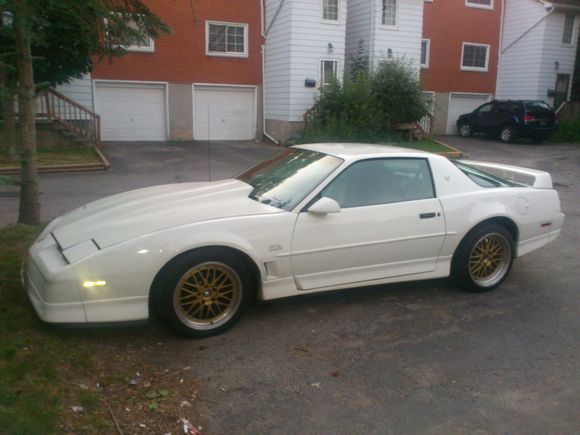 i repainted the door moldings from the gta and installed the gta emblems and the like new gta window sweeps and aluminum driveshaft.i know its a trans am and has the fender vents . i like it and am fully aware it isnt a gta.