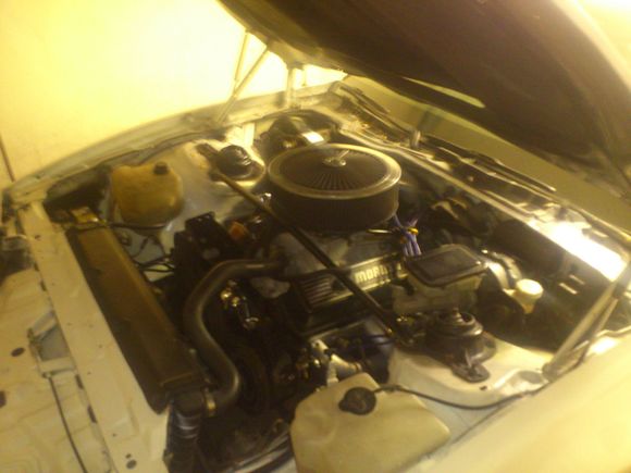 did a little more underhood cleanup