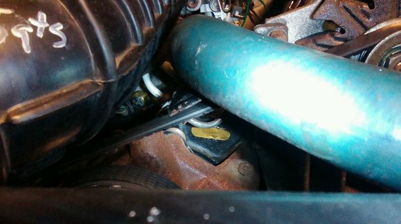 See the little gold tag?? Number is 121623