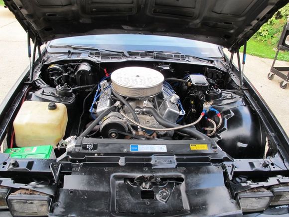 Engine (when in car)