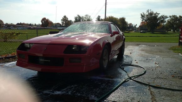 Bad picture but she got a bath today...odd seeming how it's November and shes normally hibernating this time of the year.
