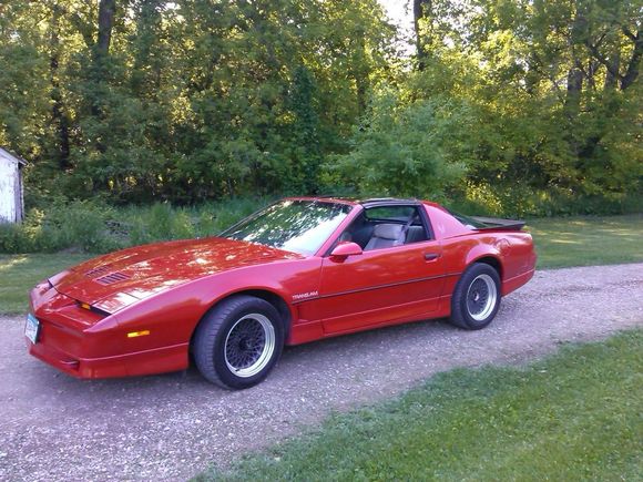 In my front yard so it is dusty