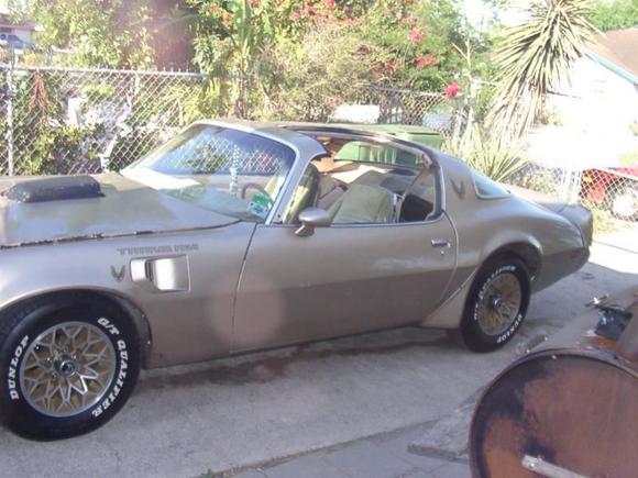 transam2