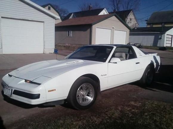 waxed firebird