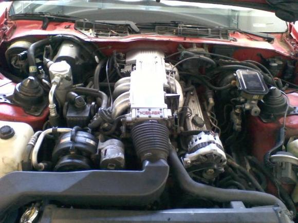 fresh rebuild,cam,msd ign.new slp plenum.more to come!