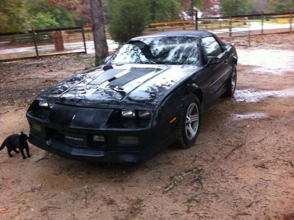 New project hoopefully I can have her done in a few months