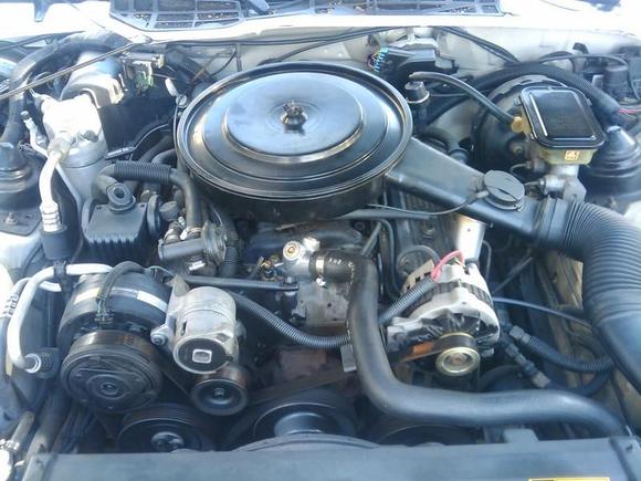 5.0 tbi 305