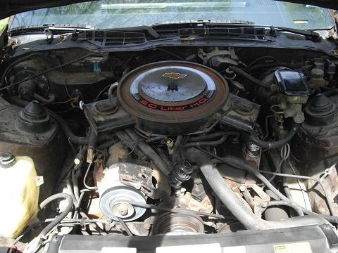 5.0 HO engine. took off the intake ducts and the smog pump which explains why there are wooden plugs in some of the hoses. this is just temporary. only has 82000 miles on it and runs like its from the factory!