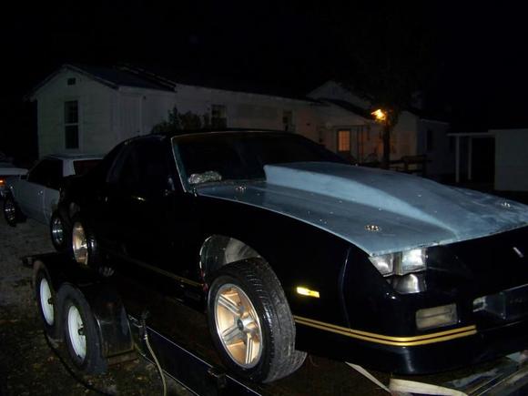Just bought her and bringing her home.