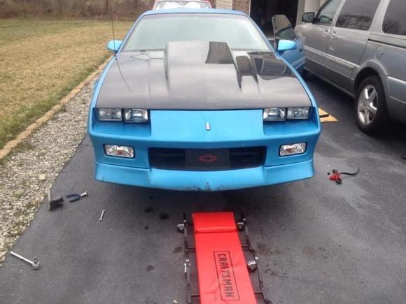 6297 4073527695279 136049630 n