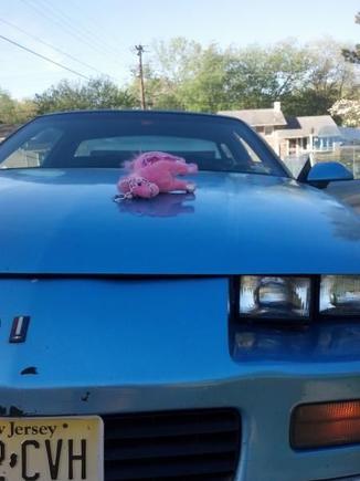 i found this on my hood one morning....