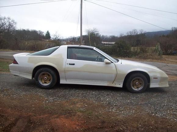 when i first got her paid 600.00 for her