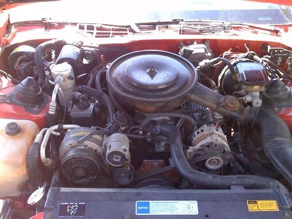 My project knocking 305