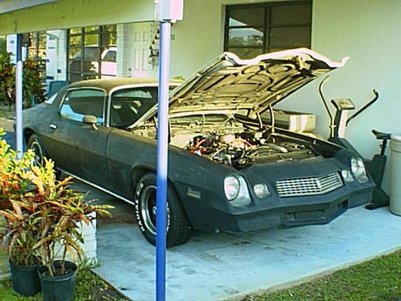 81 Camaro, 350 ci, Holley dual pump, dual feed carburator, Edelbrock Perfomer intake, TH350 transmission, stock rear end.