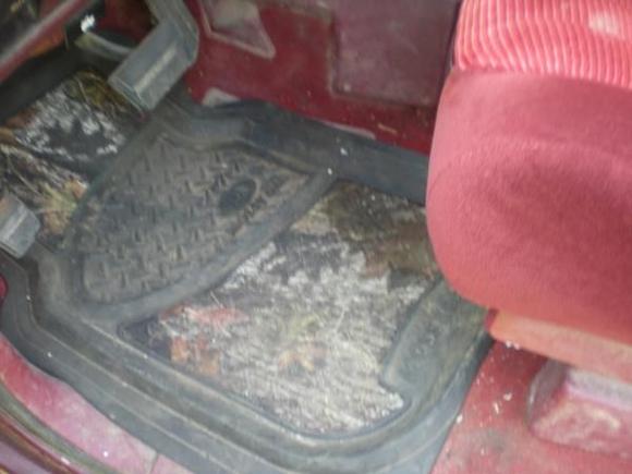 the floor mats i got from walmart mossy oaks