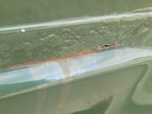 March 2025 rust