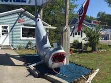 “You’re gonna need a bigger boat...”