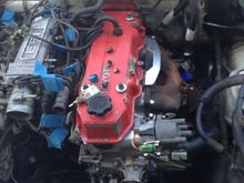 Exhaust manifold on with new studs from the local hardware store