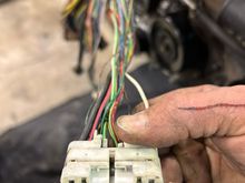 IH1 plug on 1UZ engine harness, female side.