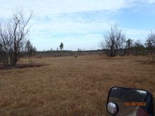 open country