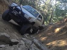 more fun than it looks