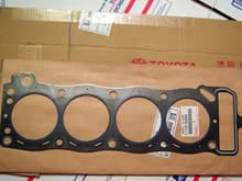 Full view of the gasket.