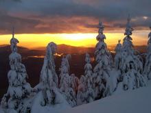 View from my favorite spot looking towards Puget Sound.