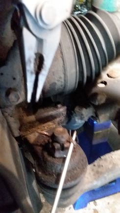 Started wiggling out enough for the cutting pliers 