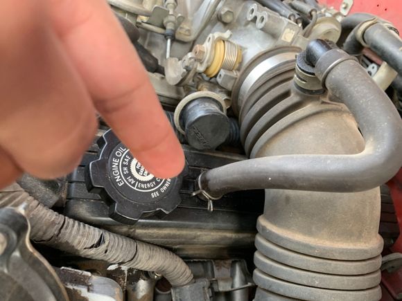 Getting a small amount of oil from here 