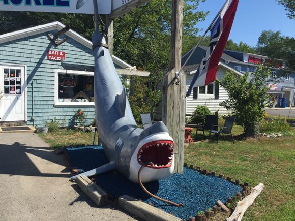 “You’re gonna need a bigger boat...”