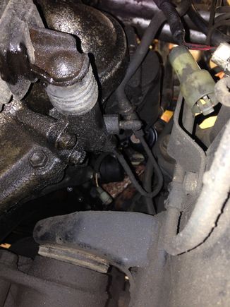 nasty leak