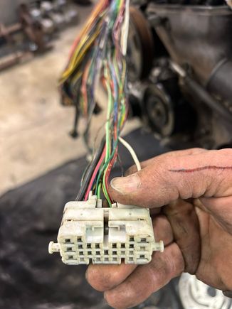IH1 plug on 1UZ engine harness, female side.