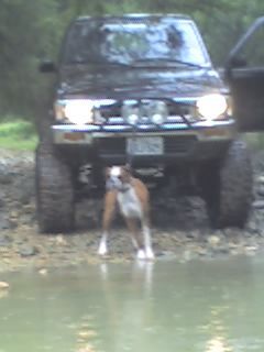 Some water Hannibal and I ran into back when it used to rain here in SATX