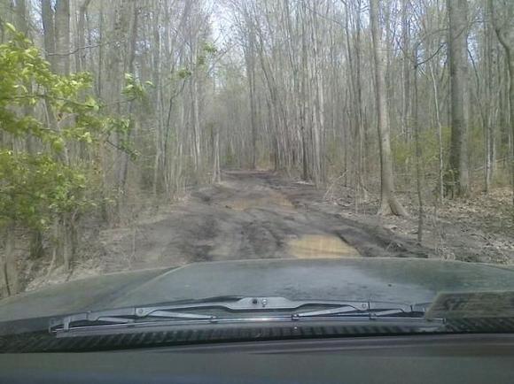 Thru the woods!