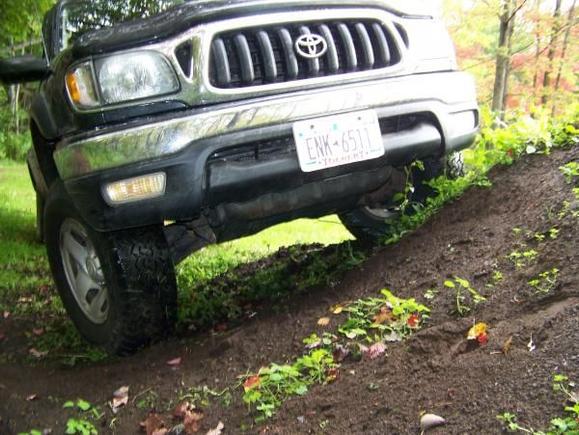 Tacoma 271