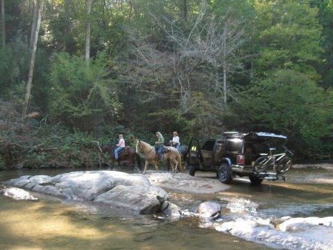 Stream24Runner