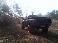 In the woods
