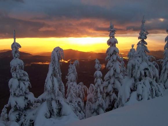 View from my favorite spot looking towards Puget Sound.