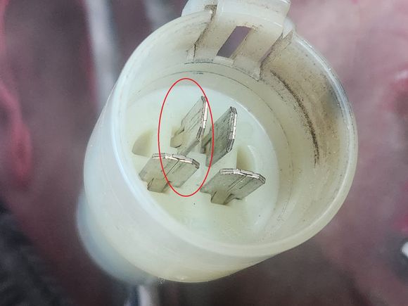 This plug connects starter relay to harness. The circled pins do not have continuity. Which is 30, and which is 87?
