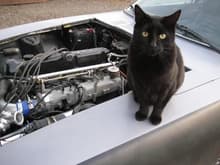 mechanic ketteh says: all your boost are belong to us!