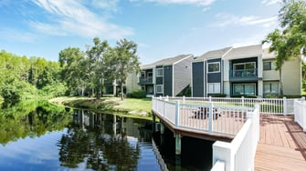 Pointe at Carrollwood - Tampa, FL