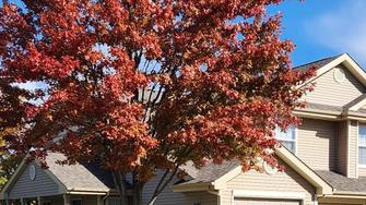 Pembrook Place Apartments - Rockford, IL