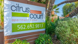 Citrus Court - Whittier, CA